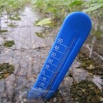 写真：水耕施設の水温を計っている様子