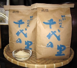 写真：特別栽培米コシヒカリ「千代の里」