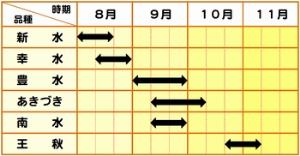 表：松任梨の旬の時期