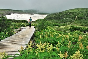 写真：草原をあるく人の後ろ姿