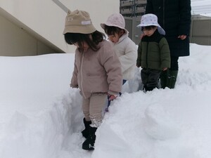 落ち葉を拾って遊んでいる様子