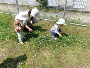 園庭で草花を触っている様子
