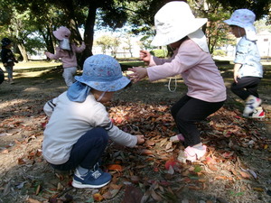 落ち葉を拾って遊んでいる様子