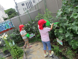 写真: