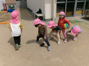 写真：カメと触れ合っている様子