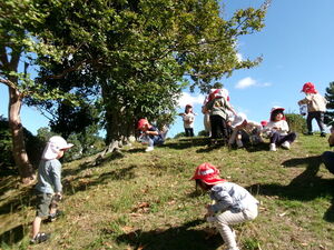 近所の公園でどんぐり拾いをしていることろ