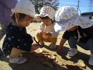 はっぱを触っている様子