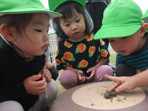 小園庭で見つけたカタツムリを見たり触ったりしている写真