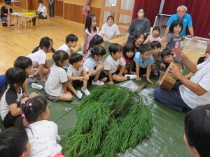 杉の木を見ているところ