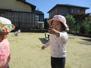 散歩に出掛けまつぼっくりをみつけた様子