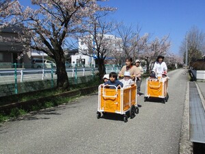 散歩をしている様子