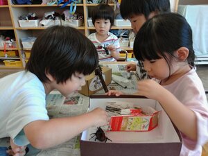 写真:友達とかぶとむしとの触れ合いを楽しんでいる様子