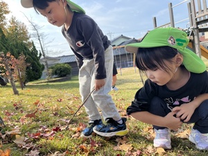 落ち葉探しを楽しんでいる様子