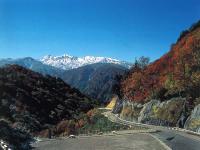 写真：白山スーパー林道