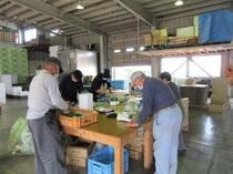 写真:選果場