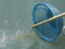 写真：スベリ漁