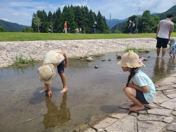 写真：川で遊ぶ子供たち