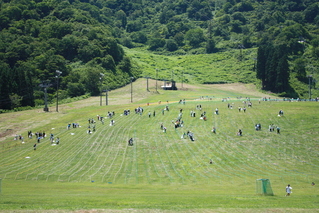 写真：電池入れ作業の様子