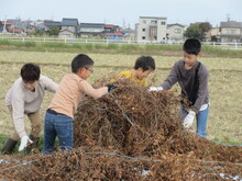 写真：大玉ころがしの様子