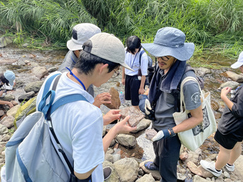 顕微鏡で石を観察する様子