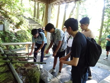 写真：白山比咩神社2