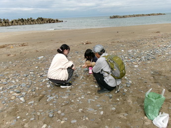 石探し