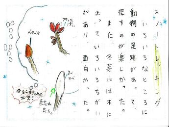 はがき2