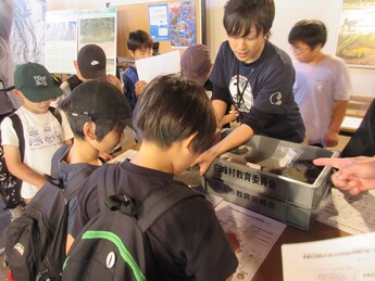 化石の学習