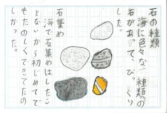 参加した子どもたちからのニュース