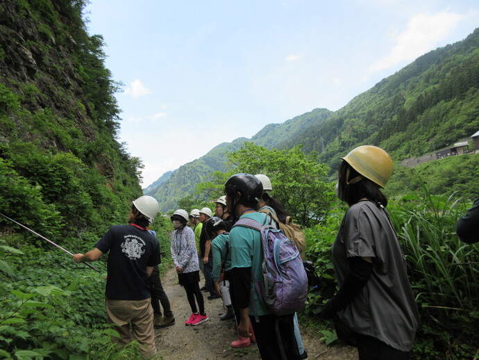 写真：どこに珪化木があるのかな？