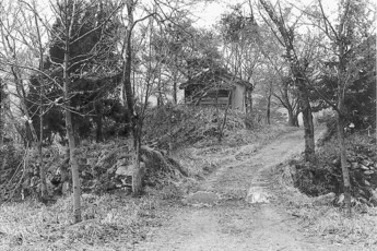 整備前の鳥越城跡写真