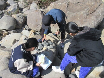 石を観察する様子