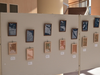 写真　作品展示1