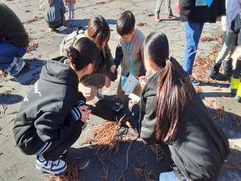 写真　たからものさがし