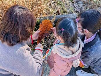 写真　落ち葉ひろい