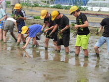 小学生栽培体験風景