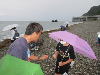 活動の様子　親不知海岸