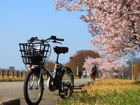 レンタサイクル写真